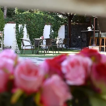Nina & Lounge Bar Hotel 3*