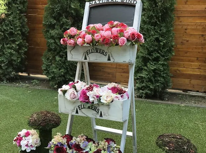 Nina & Lounge Bar 3* سكوبجي